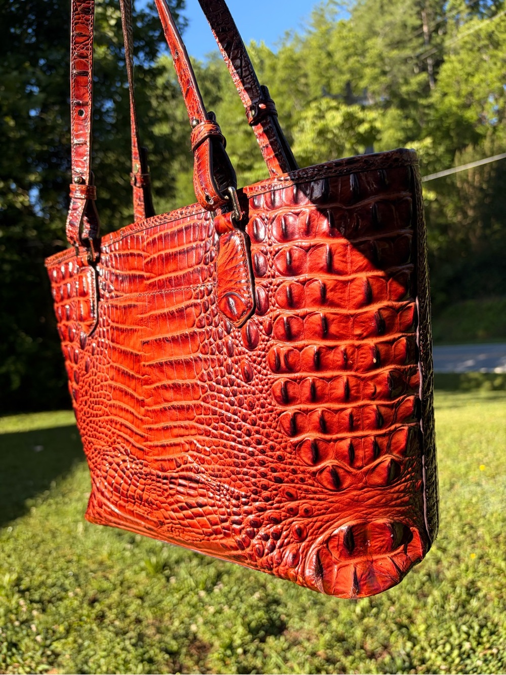 Brahmin Pecan Asher
Croc-Embossed Leather Tote Bag - Picture 9 of 11